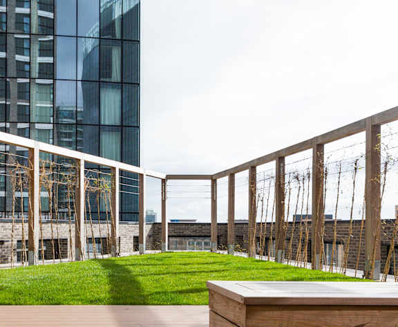 a grassy area on the roof of a building