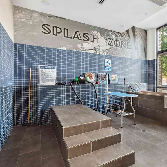 A Splash Zone sign is on the wall above a small pool.