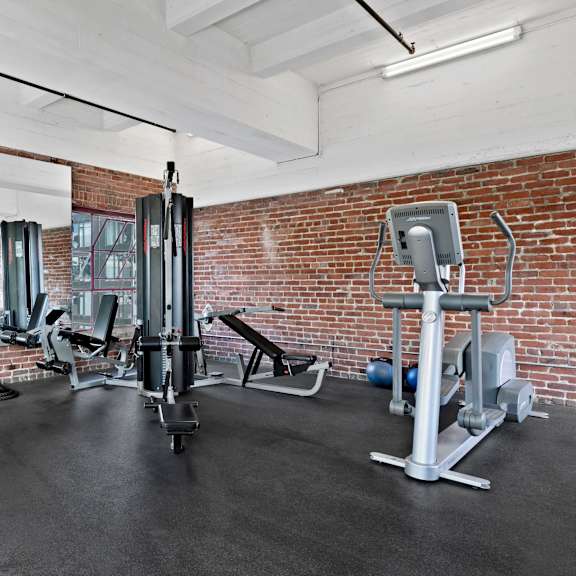 A gym with a variety of equipment including a treadmill, weights, and a bench press.