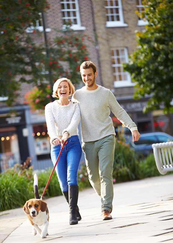 A man and woman walking a dog on a leash.