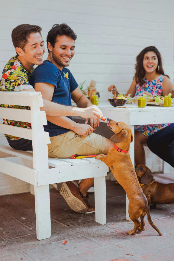 a group of people sitting at a table with a dog