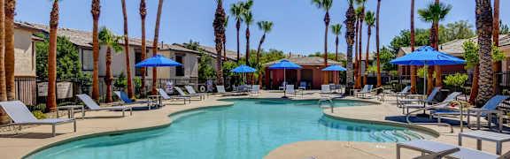 A pool surrounded by palm trees and sun loungers.