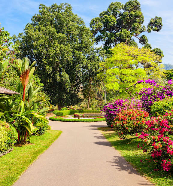 Rawlings Conservatory & Botanic Gardens