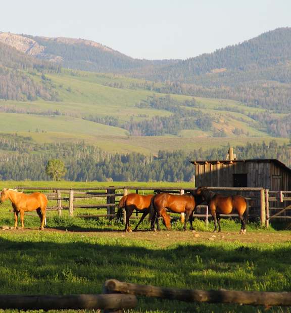 Kentucky Horse Park