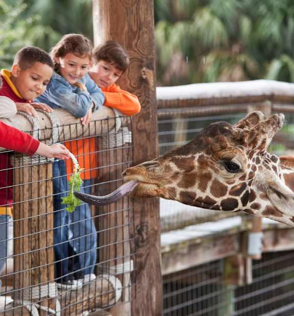 Virginia Zoo