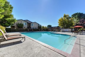 Swimming Pool Lounge Area with Lounge Chairs, Gates, Trees