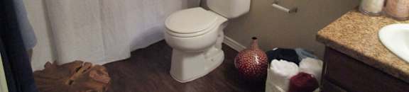 Large bathrooms