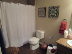 Large bathrooms