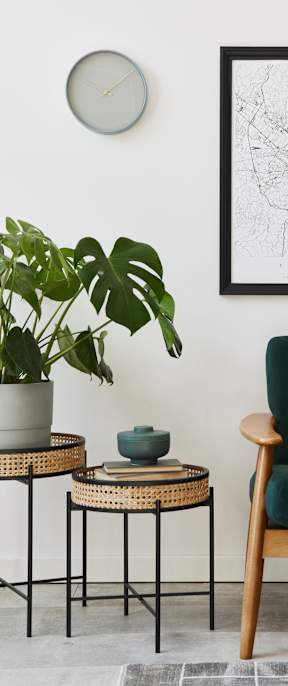 A living room with a green chair, a potted plant, and a framed map on the wall.