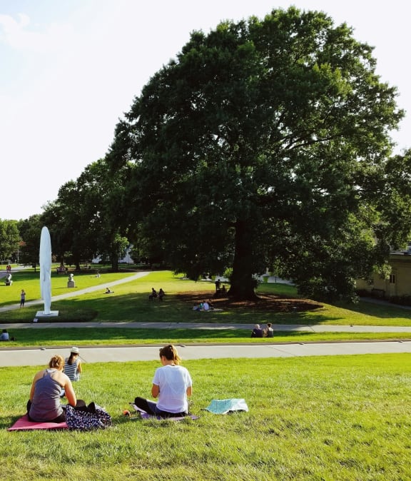 people sitting on the grass in a park