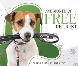A cheerful dog is featured in an advertisement for one month free pet rent.