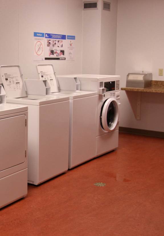 COMMUNITY AMENITIES