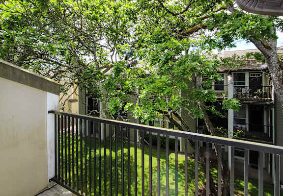 A balcony with a metal railing and a tree in the background.
