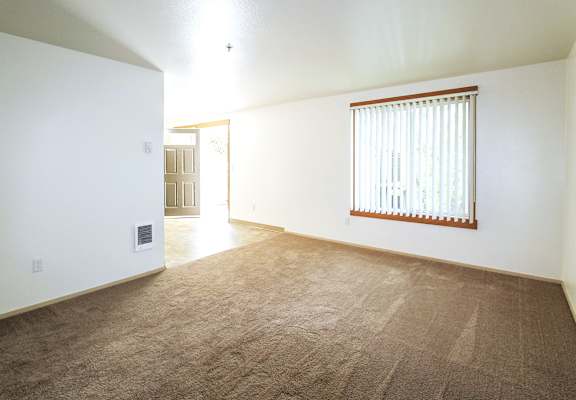 A room with a carpeted floor and a window with blinds.