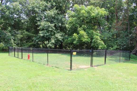 a chain link fence with a red fire hydrant in the grass