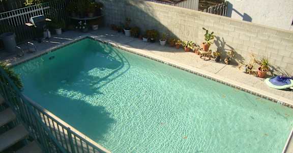 the pool is clean and ready for us to swim in