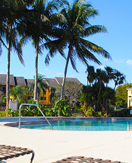 a swimming pool with chairs and palm tree sat Indian Trace, West Palm Beach, FL 33407