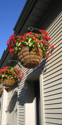 two baskets of red flowers on the side of a building
