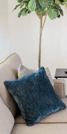 A blue pillow on a beige couch with a green plant in the background.