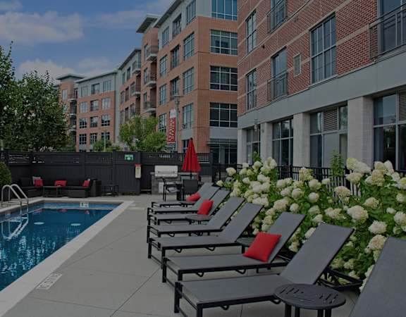 The Sheffield SoNo - Pool with lounge deck