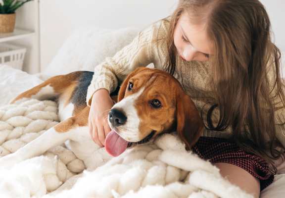 Little girl petting dog on bed at Renew Madison, Madison, 53711
