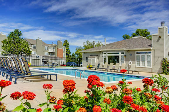 our apartments offer a swimming pool