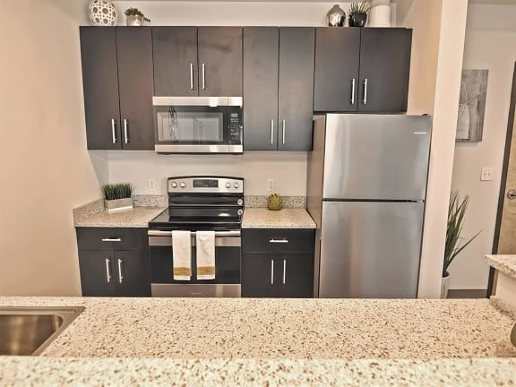 a kitchen with black cabinets and stainless steel appliances