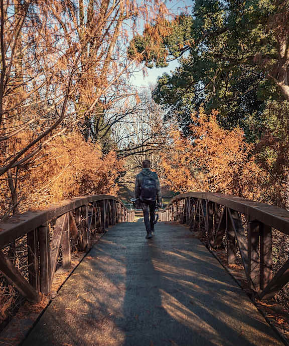 Person is walking on a bridge in a wooded area at Kinline, Beaverton