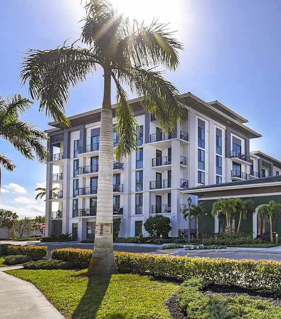 A white building with balconies and a palm tree in front.