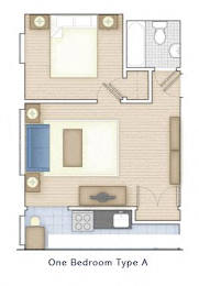  Floor Plan 1 bedroom 1 bath