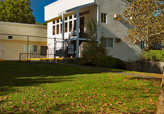 a white house with a yard and a tree