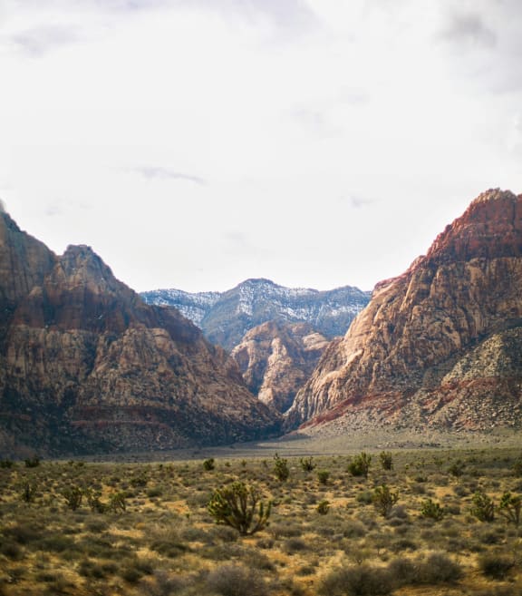 a view of a valley with mountains in the background