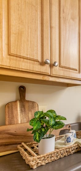a kitchen with wooden cabinets and a basket with a plant on the counter