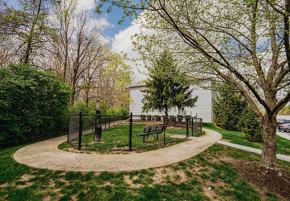 A playground with a swing set and a tree in the foreground.
