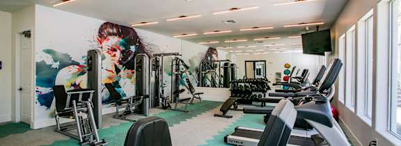 A gym with treadmills, weights, and exercise equipment.