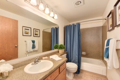 Bathroom with Vanity,Toilet, Bathtub and Blue Curtains
