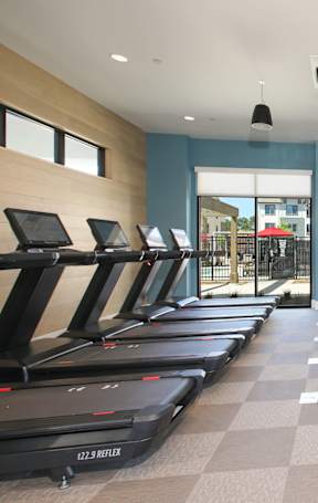 A gym with treadmills