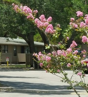 Crystal Court Apartments Apartments in Lakeland FL