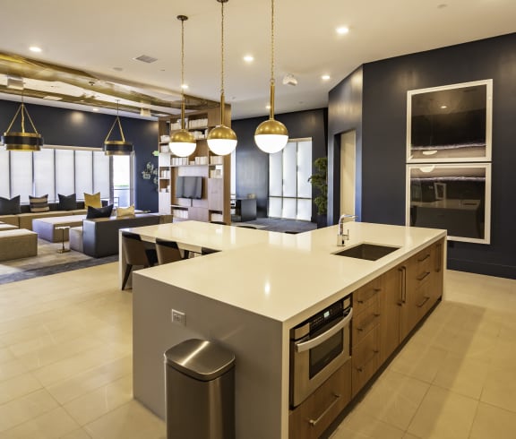 Resident Lounge with Gourmet Kitchen