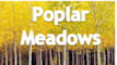 poplar meadows