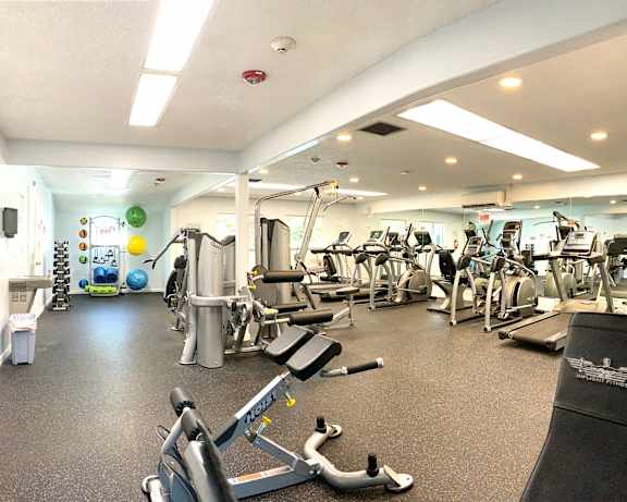 Photo Gallery Image