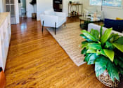 Thumbnail 5 of 16 - staged apartment living room