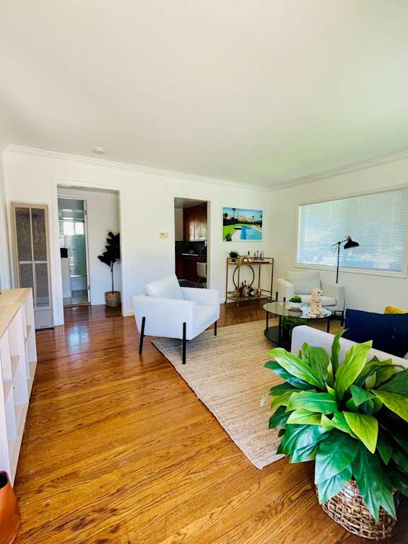 staged apartment living room