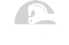 an image of the logo of dublin