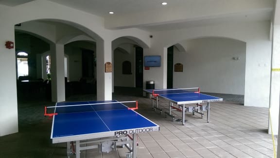 Ping Pong Tables at Orchid Run Apartments, Naples, FL