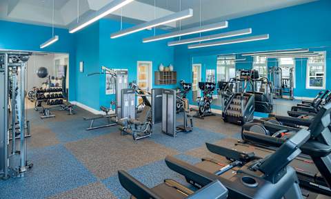 Professional Fitness Center at Waverly Terrace Luxury Apartments in Temple Terrace FL