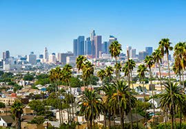 a view of the city with palm trees