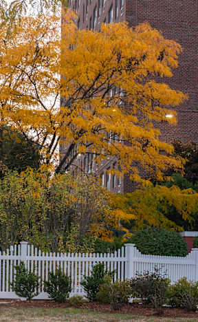 Fresh Pond Apartments