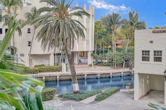 A palm tree stands in front of a white building.