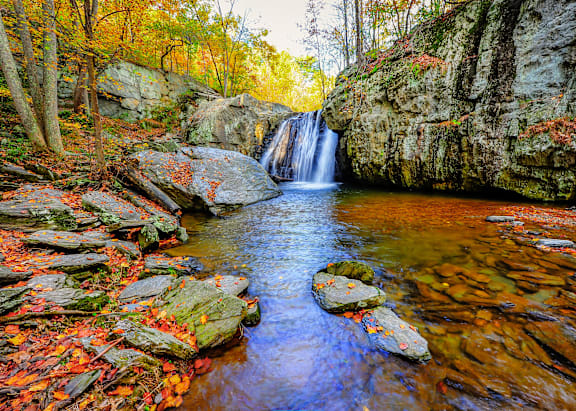 A small waterfall surrounded by rocks and fallen leaves.